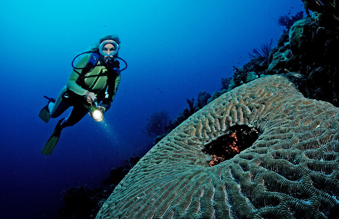 Scuba diver and coral reef, Saint Lucia, French West Indies, Caribbean Sea