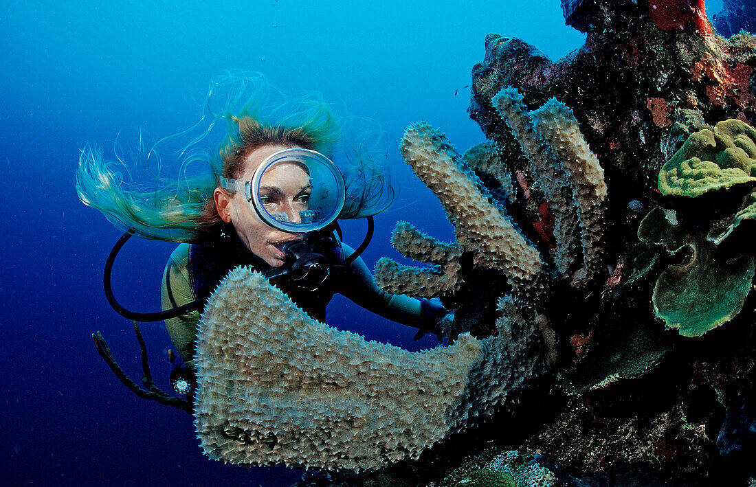 Scuba diver and coral reef, Saint Lucia, French West Indies, Caribbean Sea