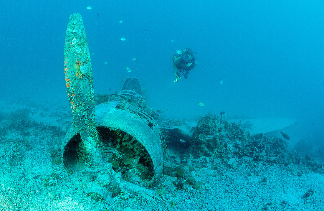 Nakajima B5N2 Kate Torpedo Bomber and Scuba diver, Papua New Guinea, Neu-Irland, Kavieng
