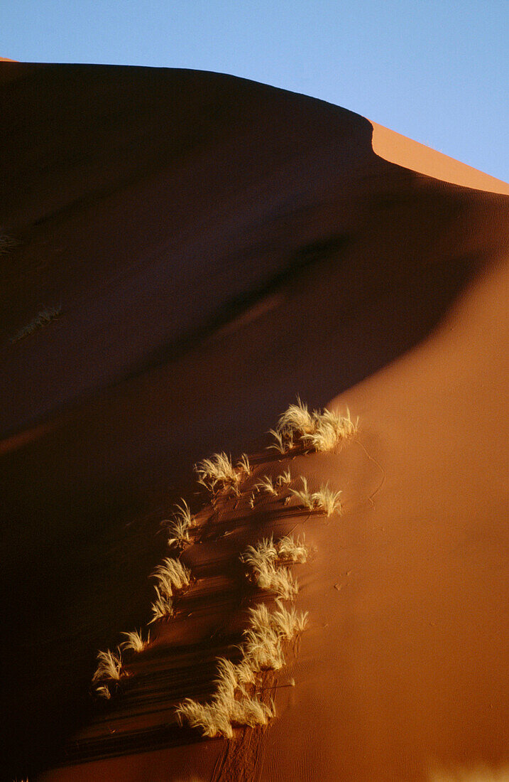 Namib desert. Namib Rand Nature Reserve