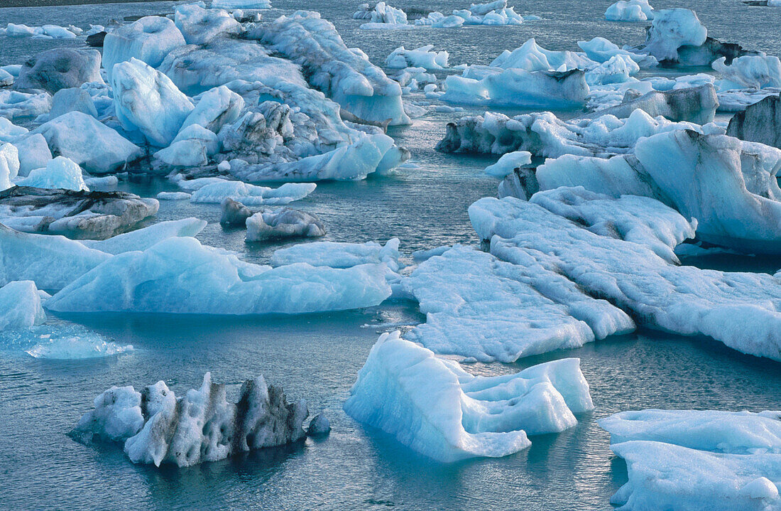 Icebergs from glaciers. Iceland