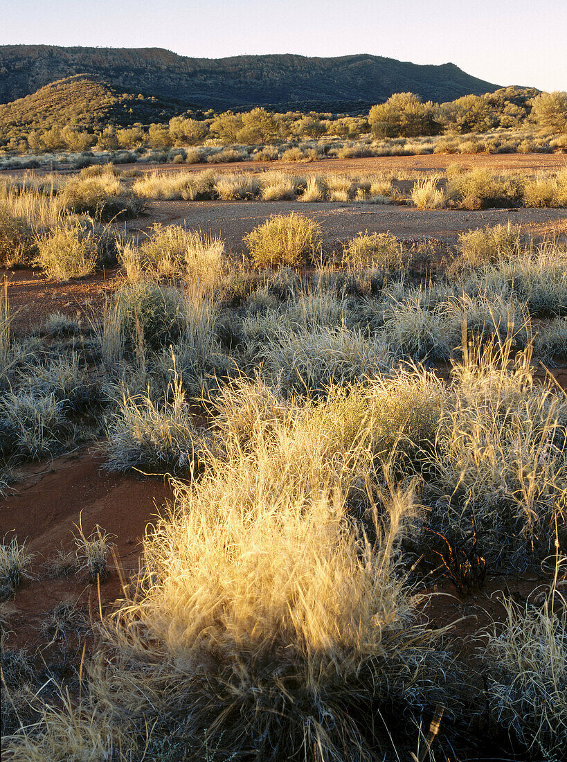 West MacDonald National Park. Northern territory. Australian desert.