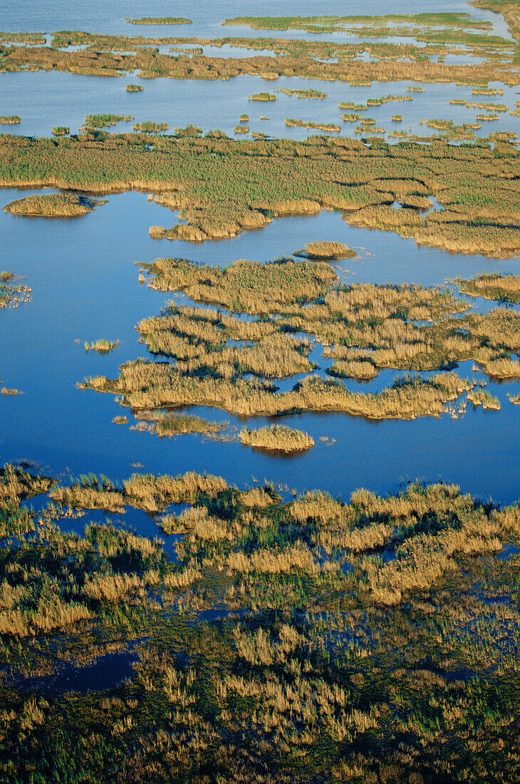 Tampico wetlands. Tamaulipas. Gulf of Mexico.