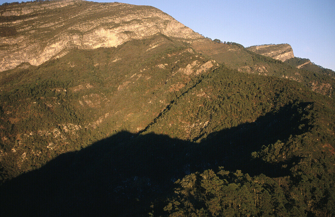 Altas Cimas Reserve. Tamaulipas. Mexico.