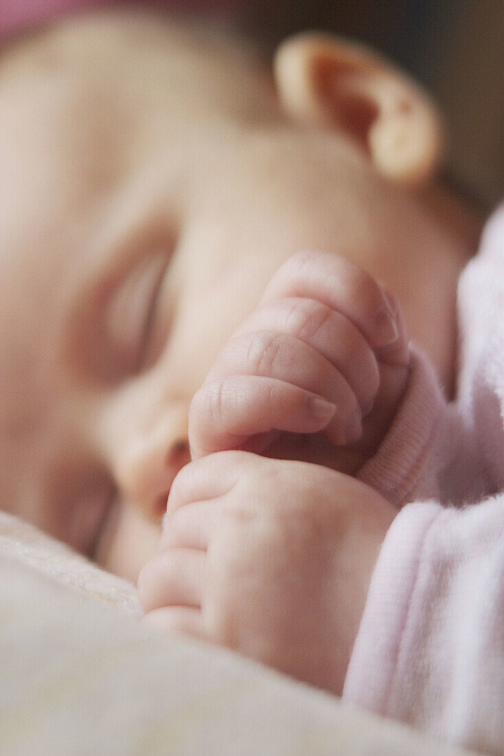  0 to 6 months, 0-6 months, 1 to 6 months, 1-6 months, Babies, Baby, Calm, Calmness, Caucasian, Caucasians, Child, Children, Close up, Close-up, Closed eyes, Closeup, Color, Colour, Contemporary, Delicate, Detail, Details, Fragile, Fragility, Hand, Hands,