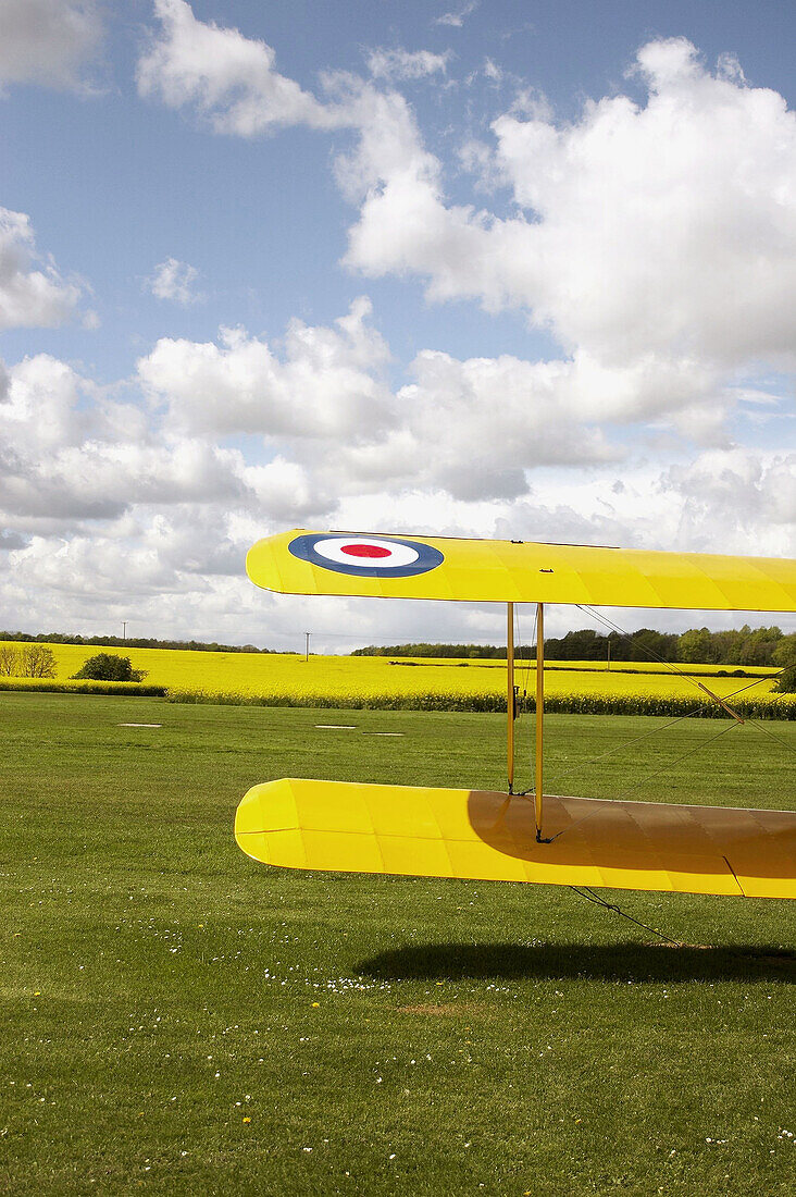 Yellow biplane infront of a field of yellow rape seed