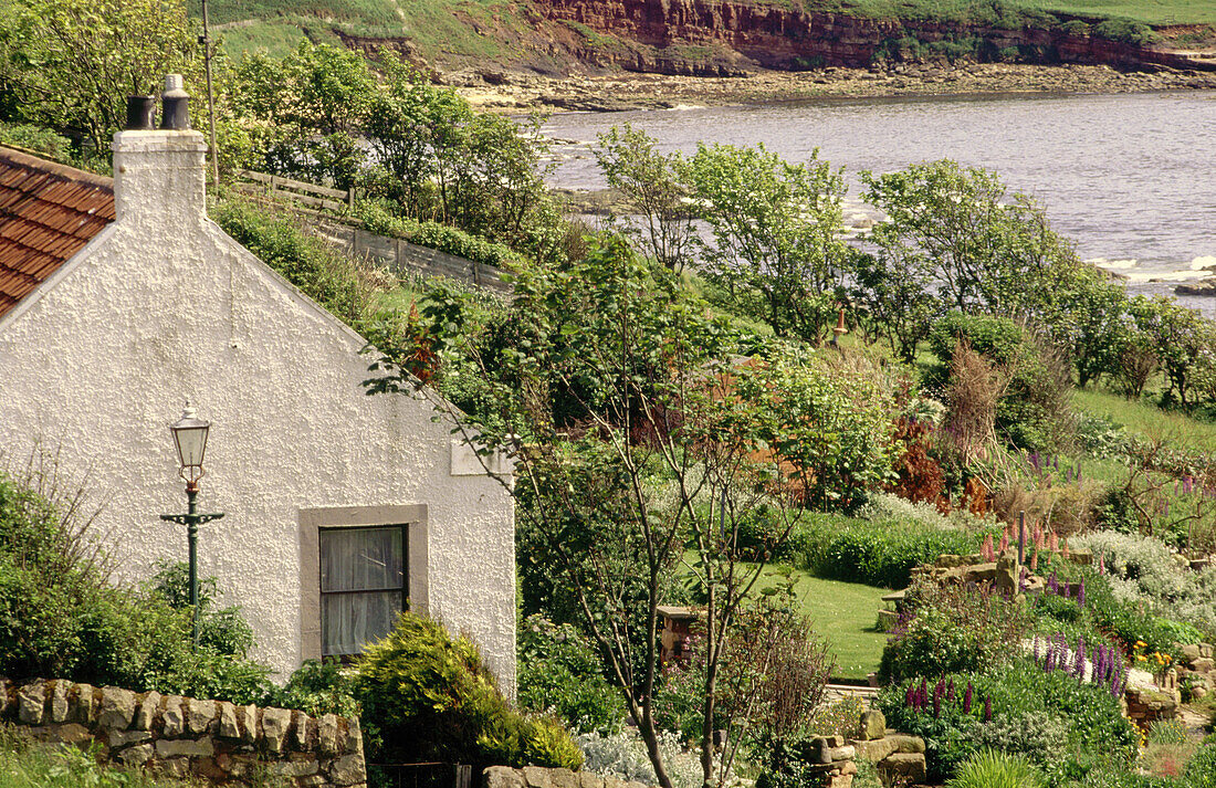 Cottage and large garden. Crail. Scotland
