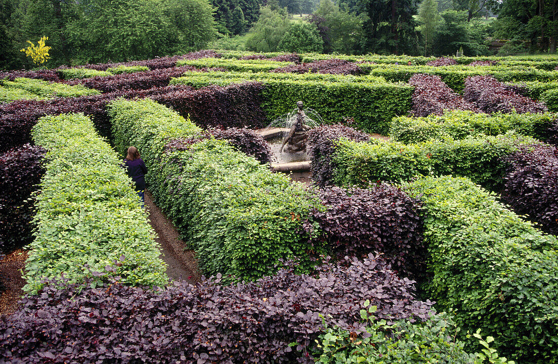 Scone Palace Grounds. Scotland