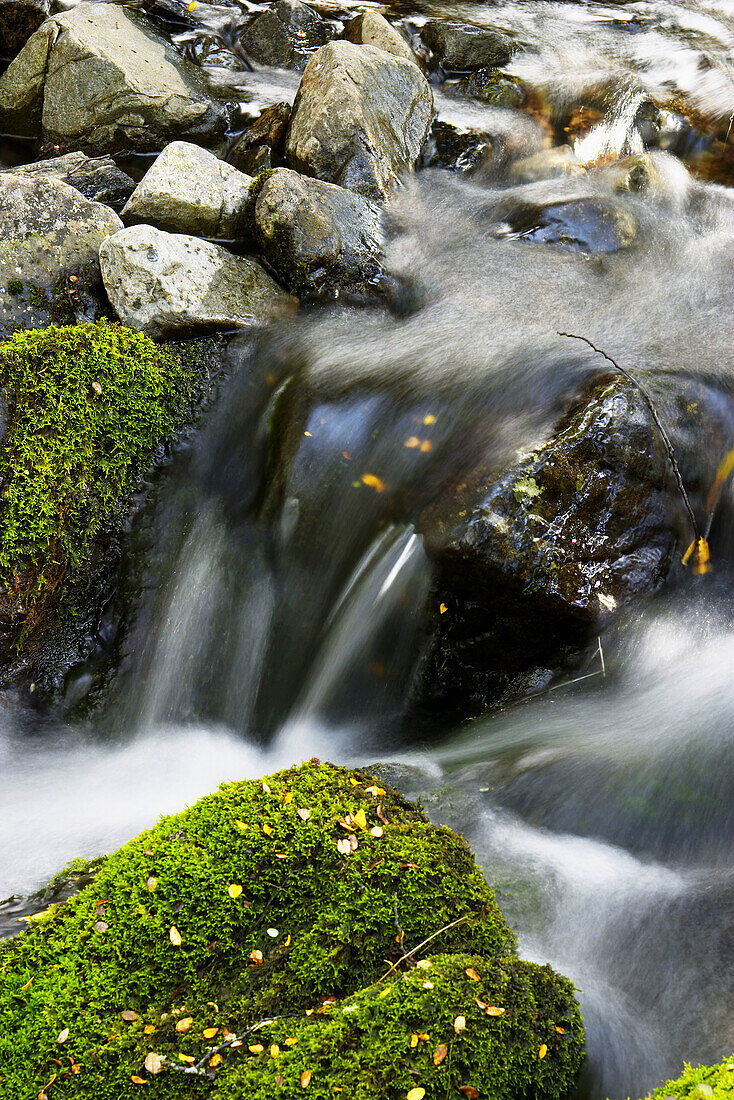 Stream flow between mossy boulders, blurred water. Arthur s Pass National Park, New Zealand