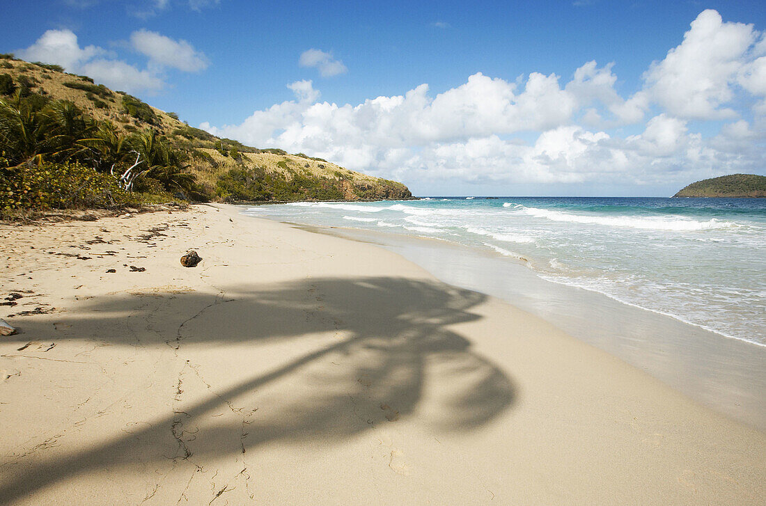 PUERTO RICO Culebra. Playa Zoni, Zoni beach on east side of island, Cayo Norte off coast, long sandy expanse