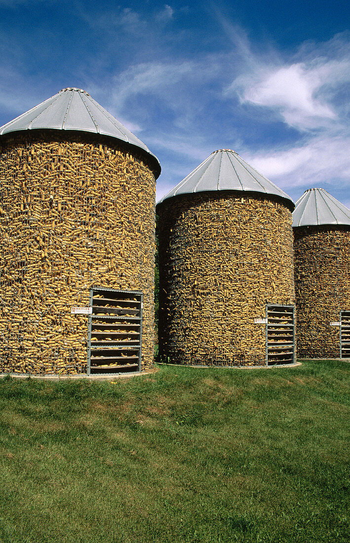 Corn storage. Southwest Wisconsin. USA.