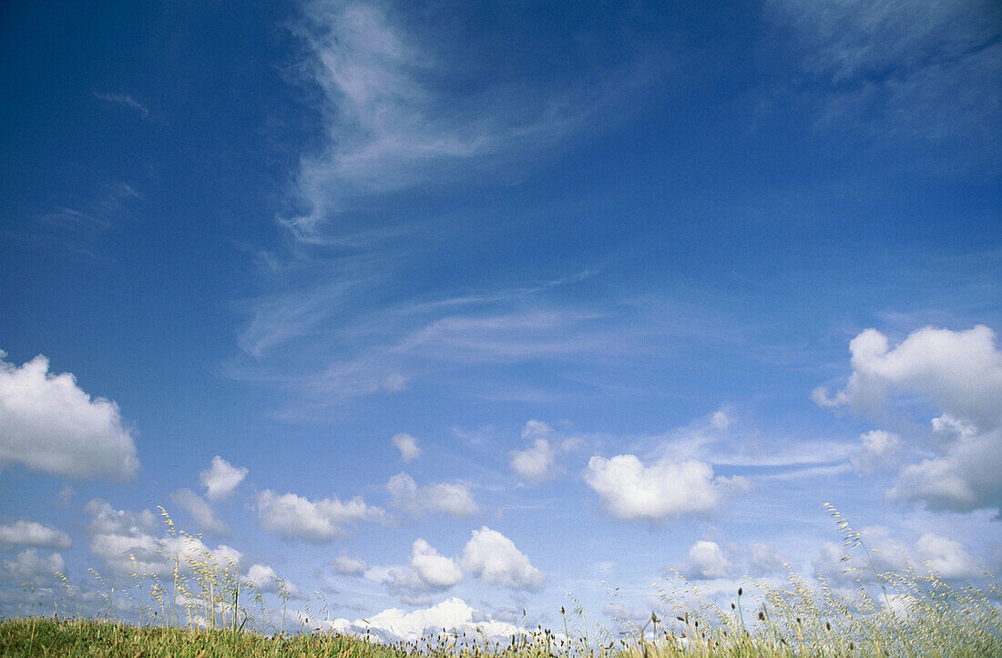 Grassland and clouds. Sonoma County. California. USA.