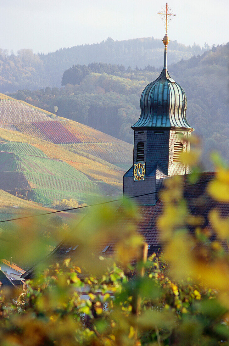 Bruder Klaus Kapelle mit Weinbergen, Durbach, Baden-Württemberg, Deutschland