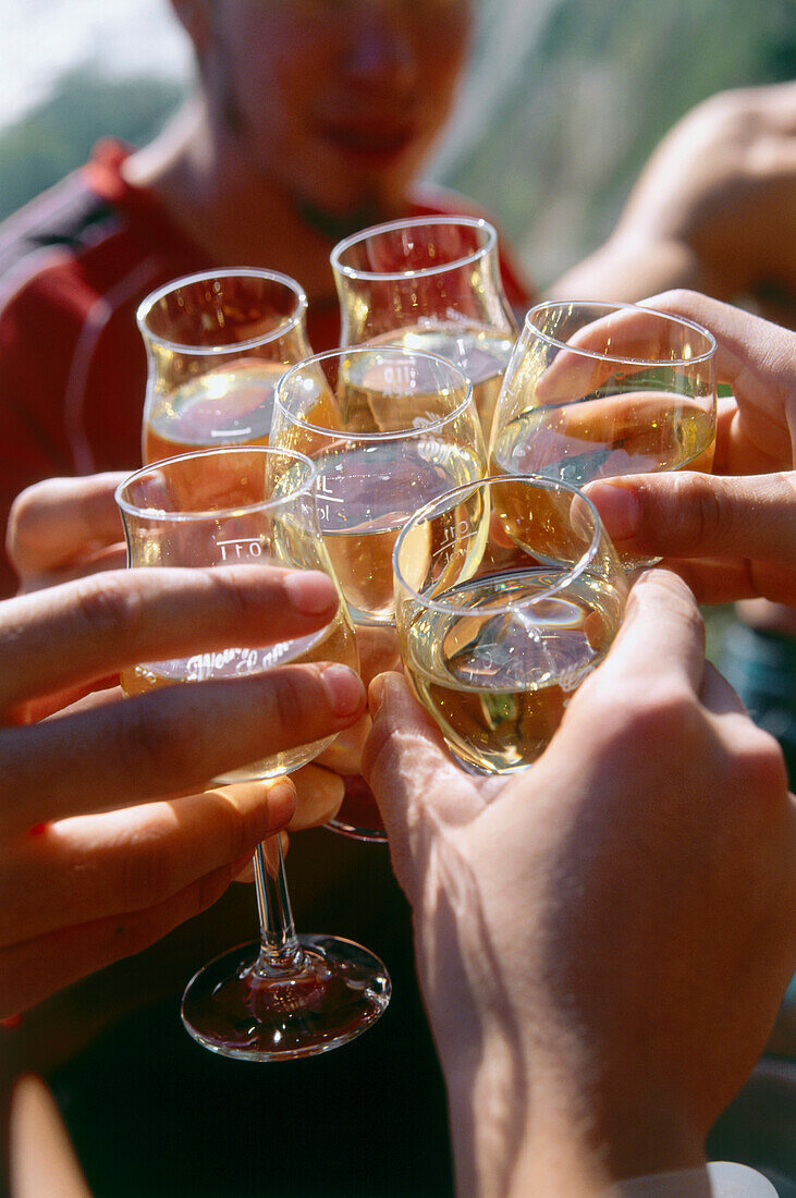 Erntehelfer stoßen mit Weißwein an, Weinlese bei Oberwesel, Rheinland-Pfalz, Deutschland