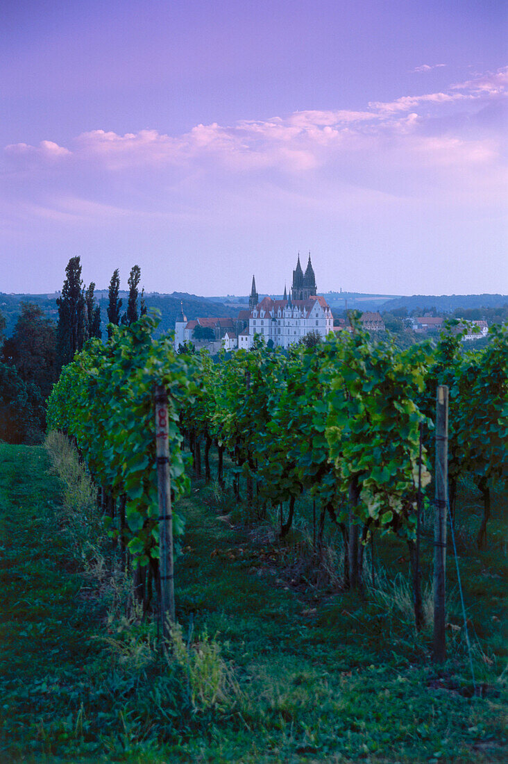 Blick von Schloss Proschwitz nach Meissen, Meissen-Proschwitz, Sachsen, Deutschland