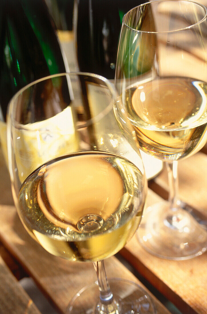 Wine glasses, Winery Herrenberg, Schoden, Saar, Mosel-Saar-Ruwer, Rhineland-Palatinate, Germany