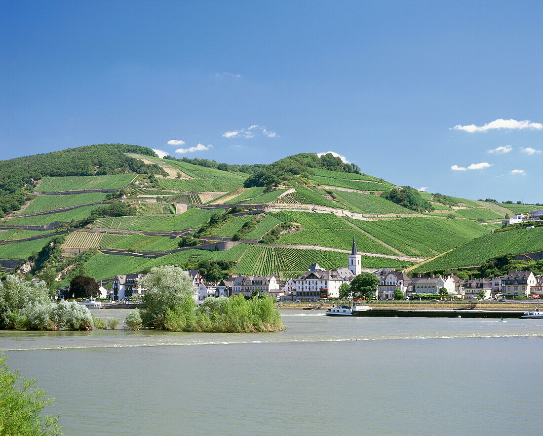 View over river Rhine to Assmannshausen, Rheingau, Hesse, Germany
