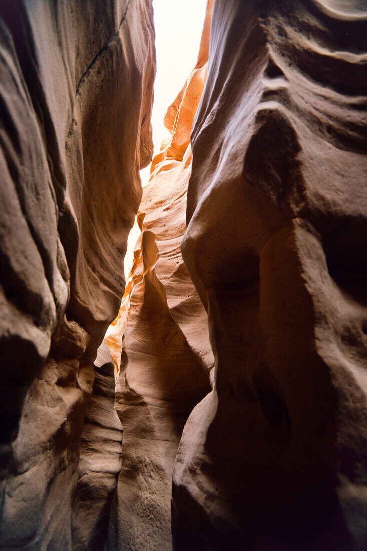 Sandsteinformation in der Gebirgswüste, Arrada Canyon, Sinai, Ägypten, Afrika