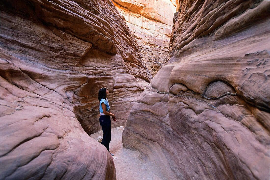 young woman in Coloured Canyon, mountain desert, Sinai, Egypt, North Africa