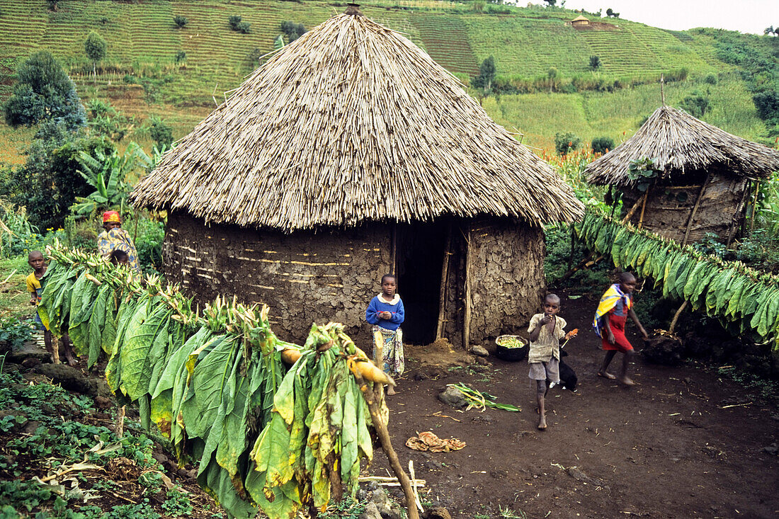 Afrikanisches Dorf Djombe, Virunga Berge, Zaire, Afrika