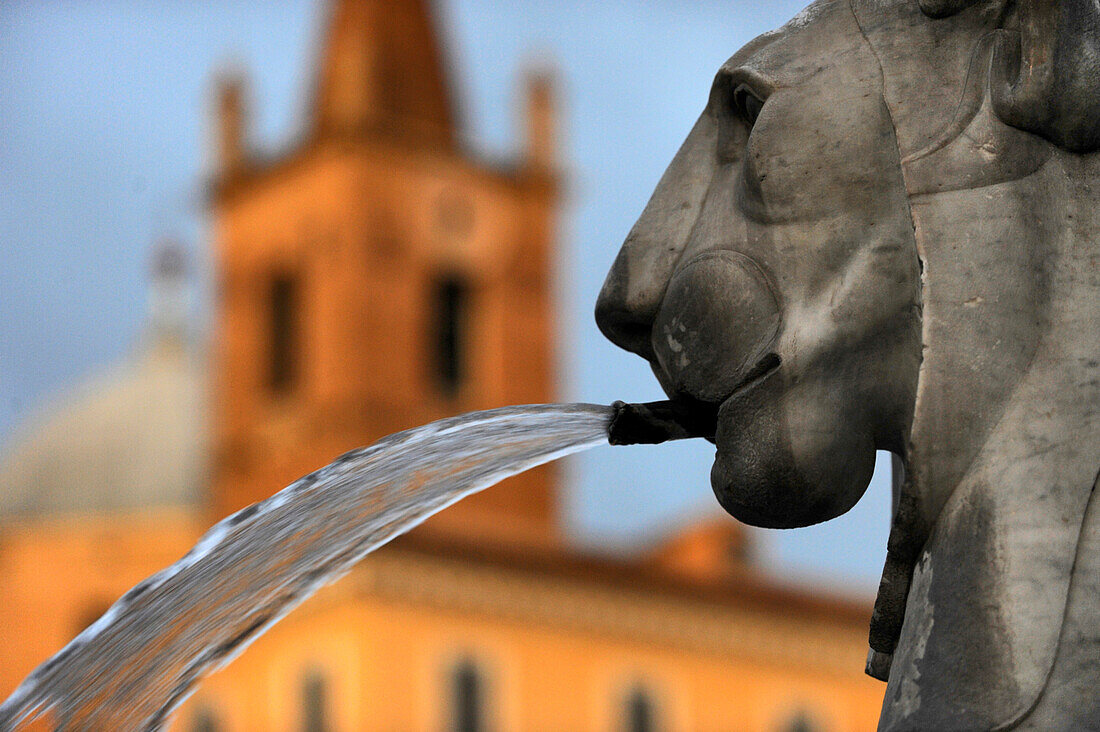 Nahaufnahme von Löwen Skulptur, Piazza del Popolo, Rom, Latium, Italien