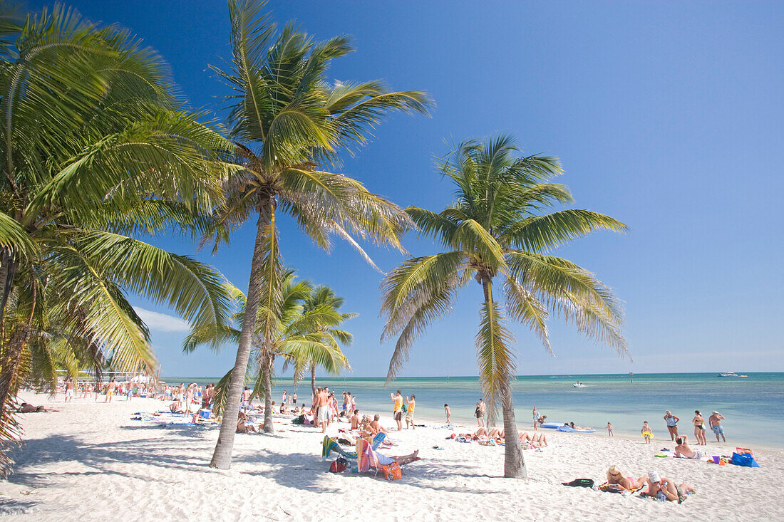 Menschen an einem Palmenstrand unter blauem Himmel, Smathers Beach, Key West, Florida Keys, Florida, USA