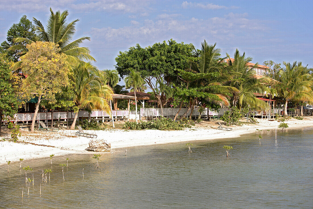 Das Hotel Boquemar hinter Palmen am Strand, Cabo Rojo, Puerto Rico, Karibik, Amerika