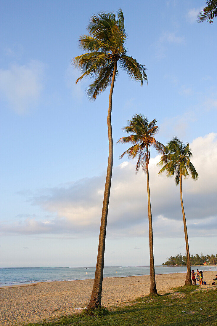 Menschen und Palmen am Strand unter Wolkenhimmel, Luquillo, Puerto Rico, Karibik, Amerika