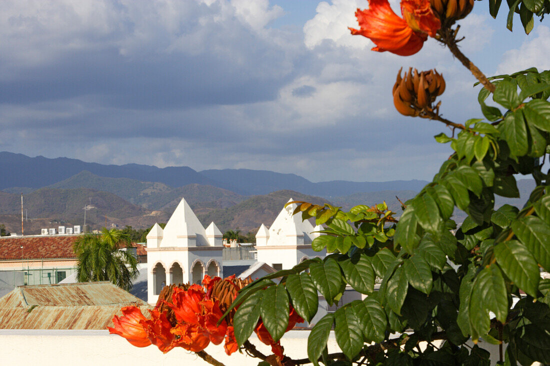 Blick auf Blumen und die Dächer der Altstadt von Ponce, Puerto Rico, Karibik, Amerika
