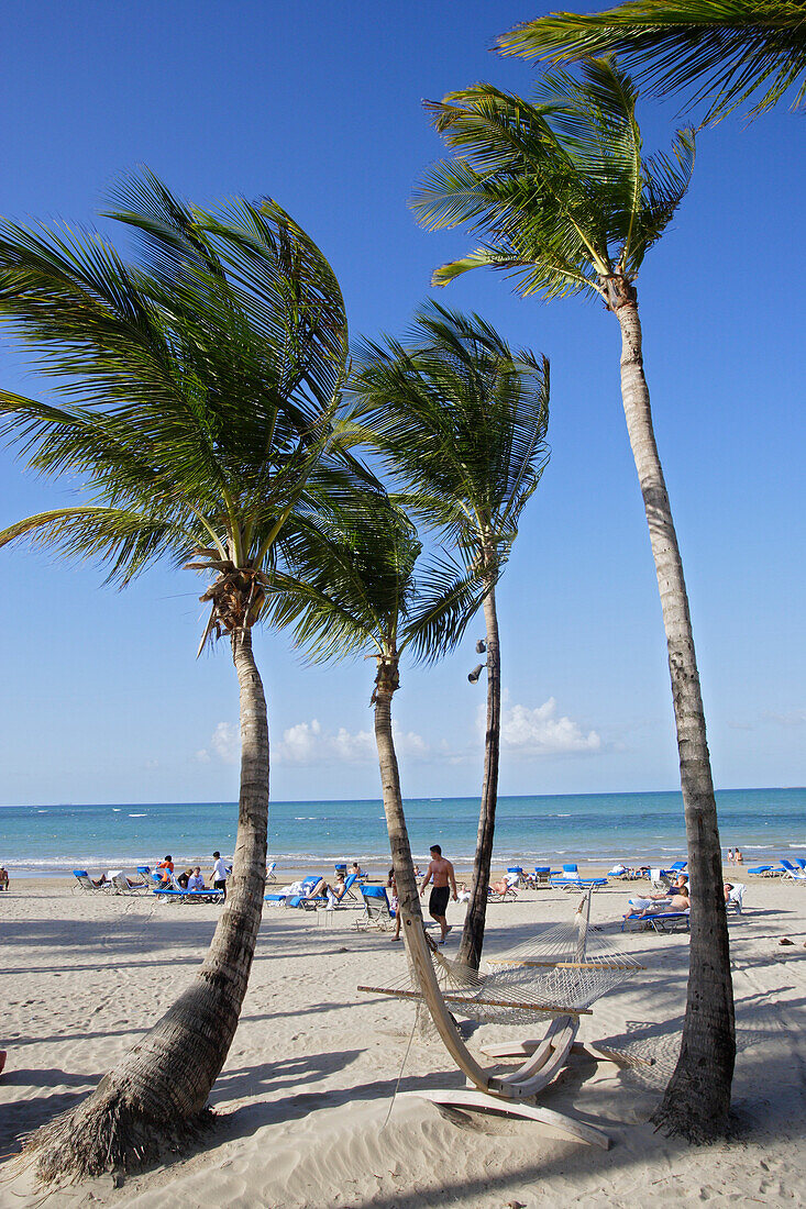 Menschen und Palmen am Strand unter blauem Himmel, Isla Verde, Puerto Rico, Karibik, Amerika