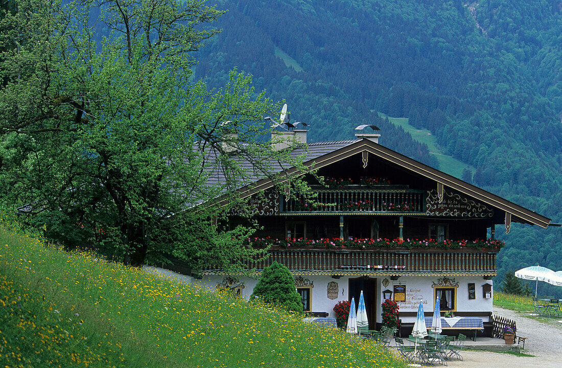 Gasthof Streichen mit Blumenwiese, Ettenhausen, Chiemgauer Alpen, Chiemgau, Bayerische Voralpen, Oberbayern, Bayern, Deutschland