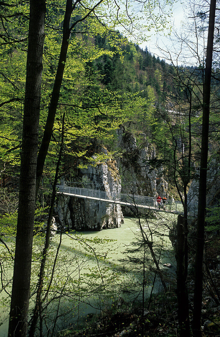 suspension bridge crossing Tiroler Ache, two hikers on bridge, Klobenstein, canyon of Entenlochklamm, Tiroler Ache, Tiroler Achen, Chiemgau range, Tyrol, Austria