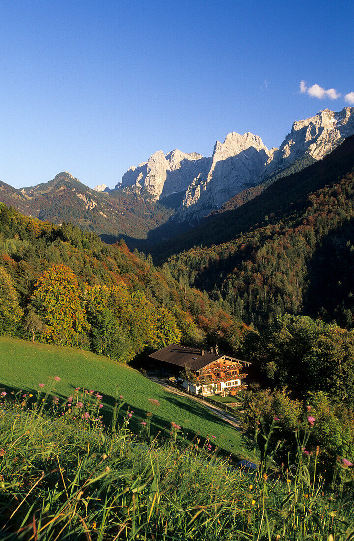 Blumenwiese mit Almhütte, Wilder Kaiser im Hintergrund, Kaisertal, Kaisergebirge, Tirol, Österreich