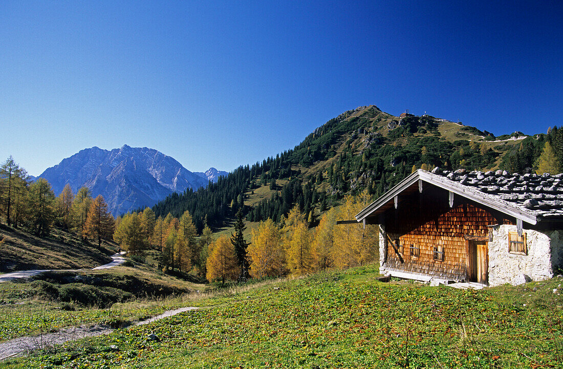 Almhütte mit Watzmann und Jenner, Berchtesgadener Alpen, Berchtesgaden, Bayern, Deutschland