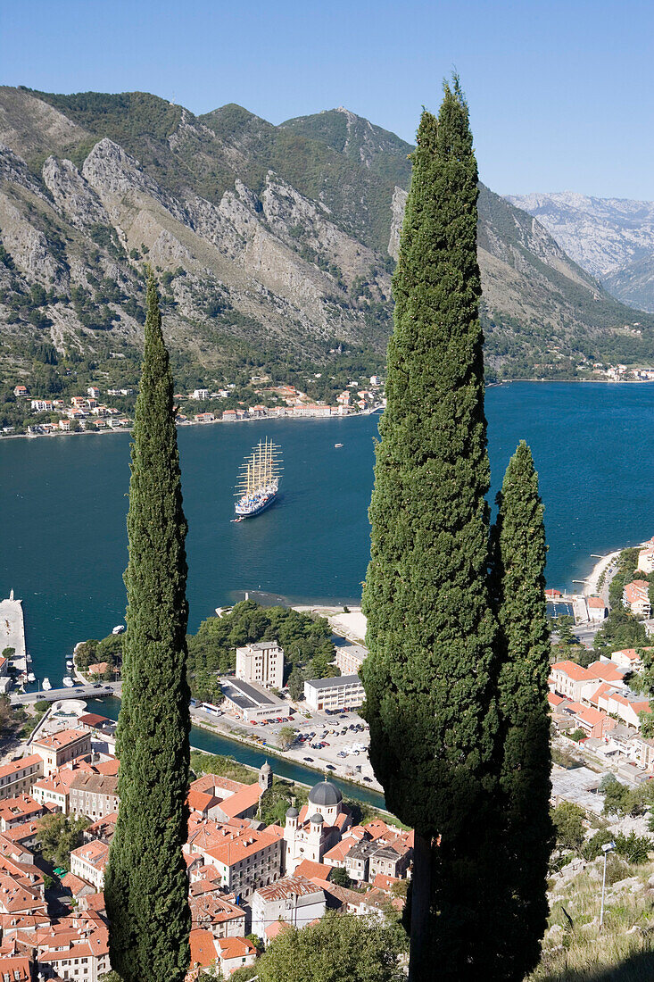 Blick auf Altstadt und Großsegler Royal Clipper im Kotor Fjord, Kotor, Montenegro, Europa