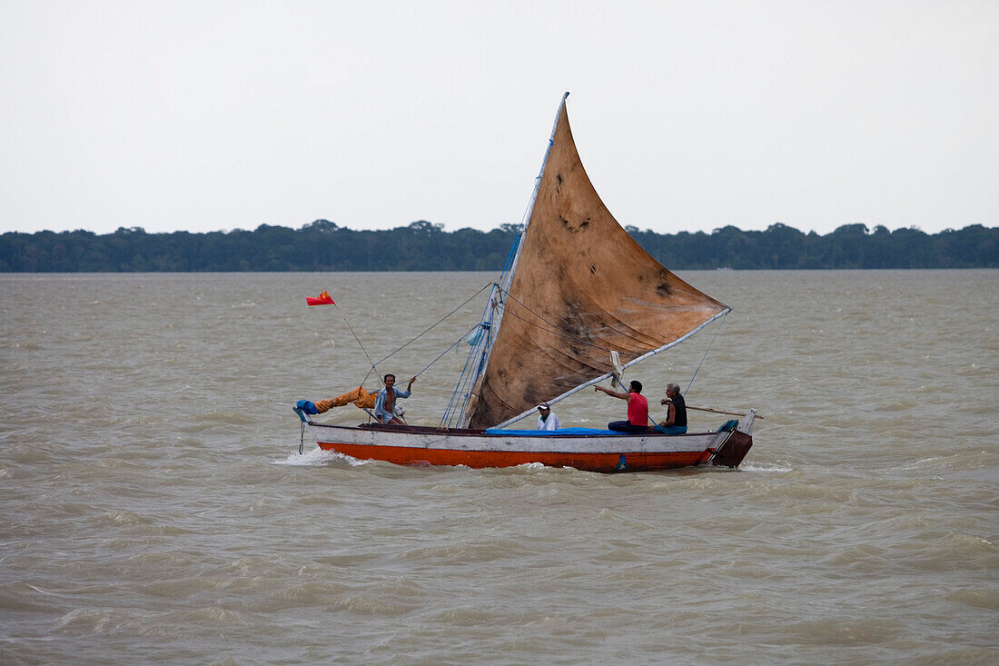Traditional sailing boat on the Amazon River, Belem, Para, Brazil, South America