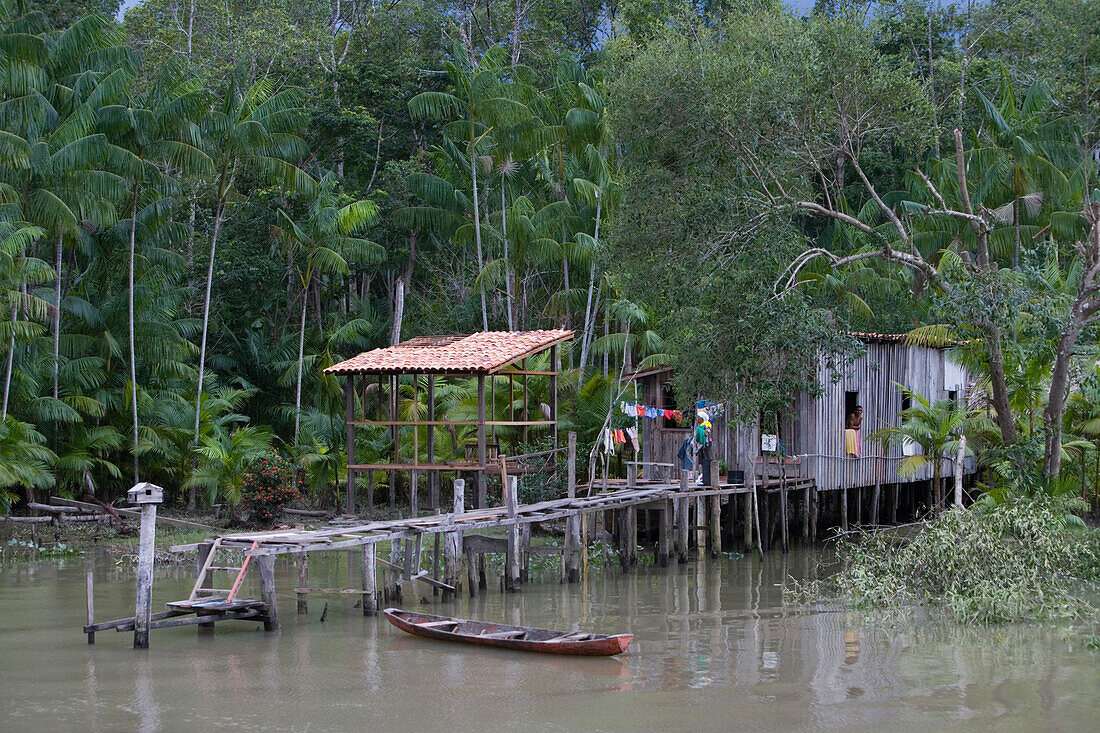 House on stilts on Amazon River and … – License image – 70162244 lookphotos