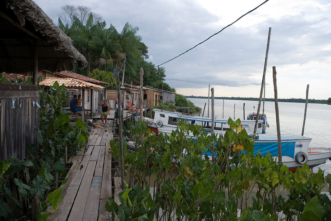 Boats and houses on stilts along the Amazon River, Combo Island, near Belem, Para, Brazil, South America