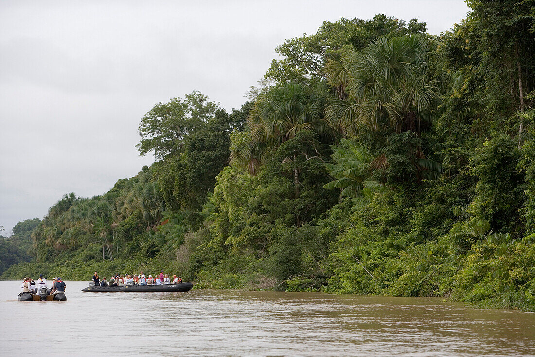 MS Europa Zodiac Expedition und tropischer Regenwald auf Seitenarm vom Amazonas, Rio do Cajari, Para, Brasilien, Südamerika