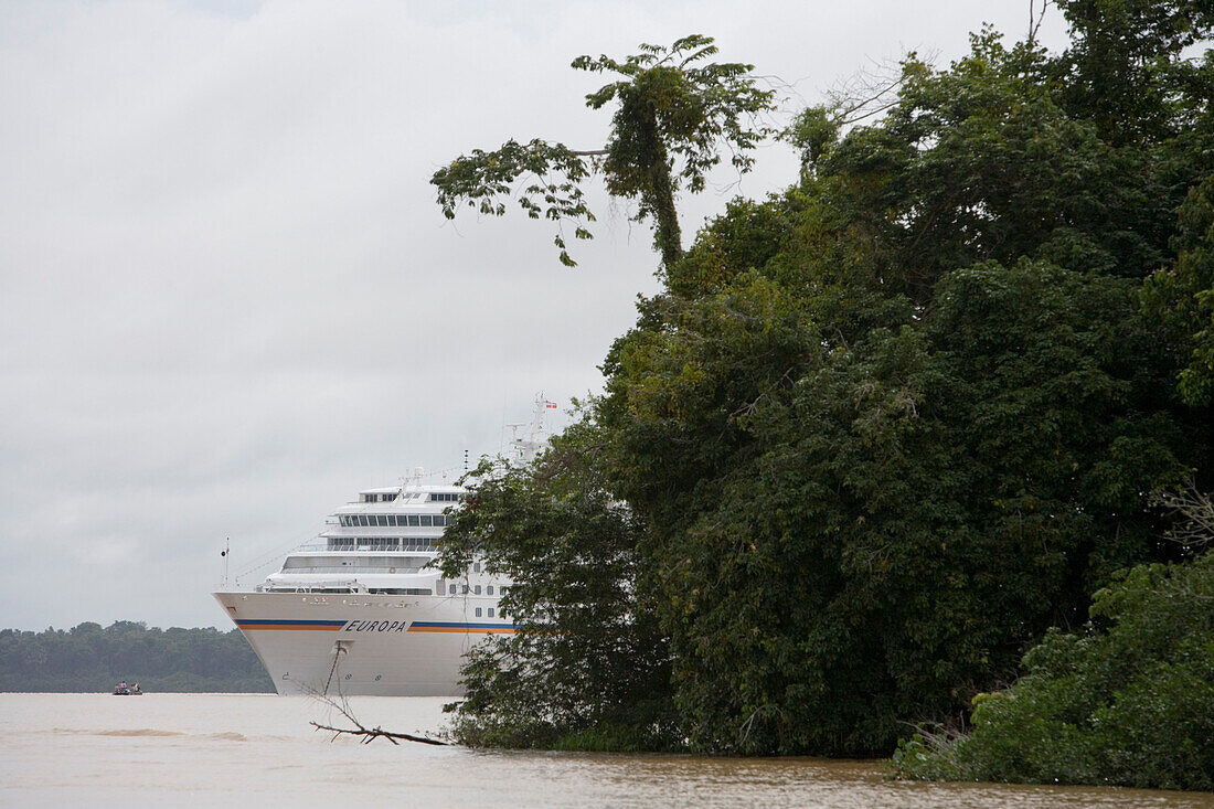 Regenwald und MS Europa auf Amazonas, Rio do Cajari, Para, Brasilien, Südamerika