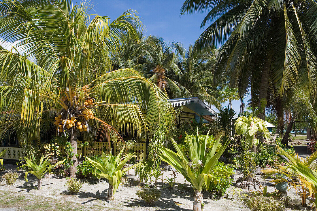 Tropischer Garten und Haus, Avatoru, Rangiroa, Tuamotu Inseln, Französisch Polynesien, Südsee