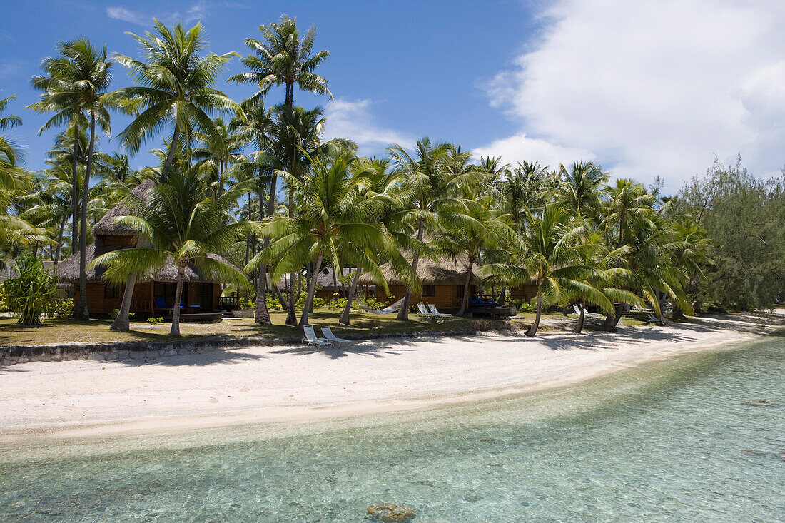 Coconut trees on the beach of Hotel Kia Ora, Avatoru, Rangiroa, The Tuamotus, French Polynesia