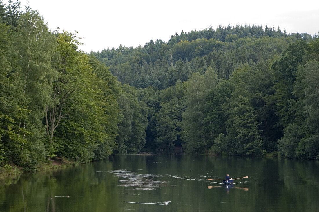 Ruderboot auf einem See inmitten Bäumen, Eiswoog, Rheinland Pfalz, Deutschland, Europa