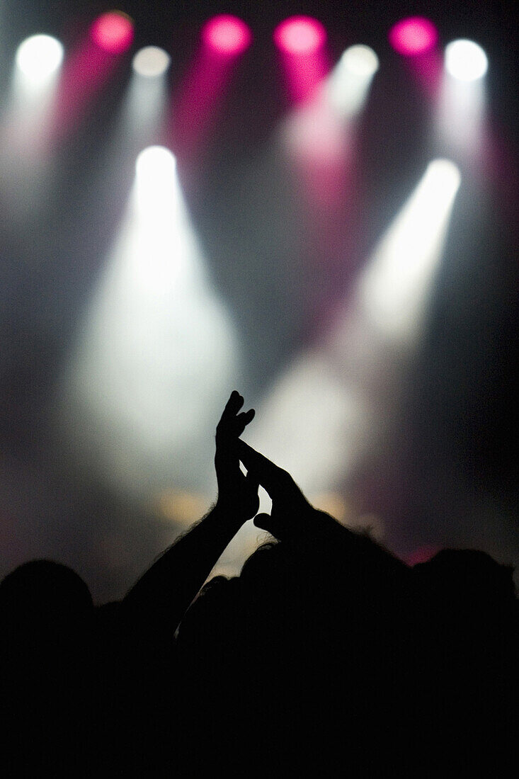 Spectators in floodlight, Rock am See, Konstanz, Baden-Wurttemberg, Germany