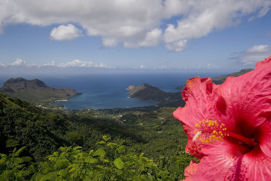 Hibiskusblüte und Bucht Taihoae auf Nuku Hiva, Marquesas Inseln, Polynesien, Ozeanien