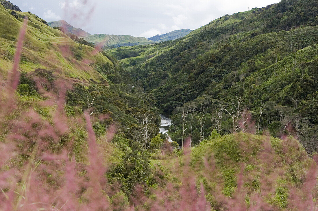 Blick in ein Tal mit Fluss, Langila, Papua Neuguinea, Ozeanien