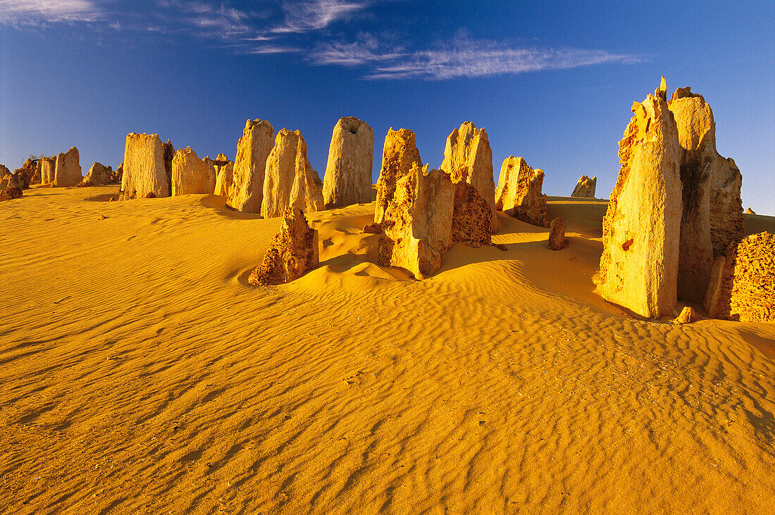 The Pinnacles. Nambung National Park. Western Australia