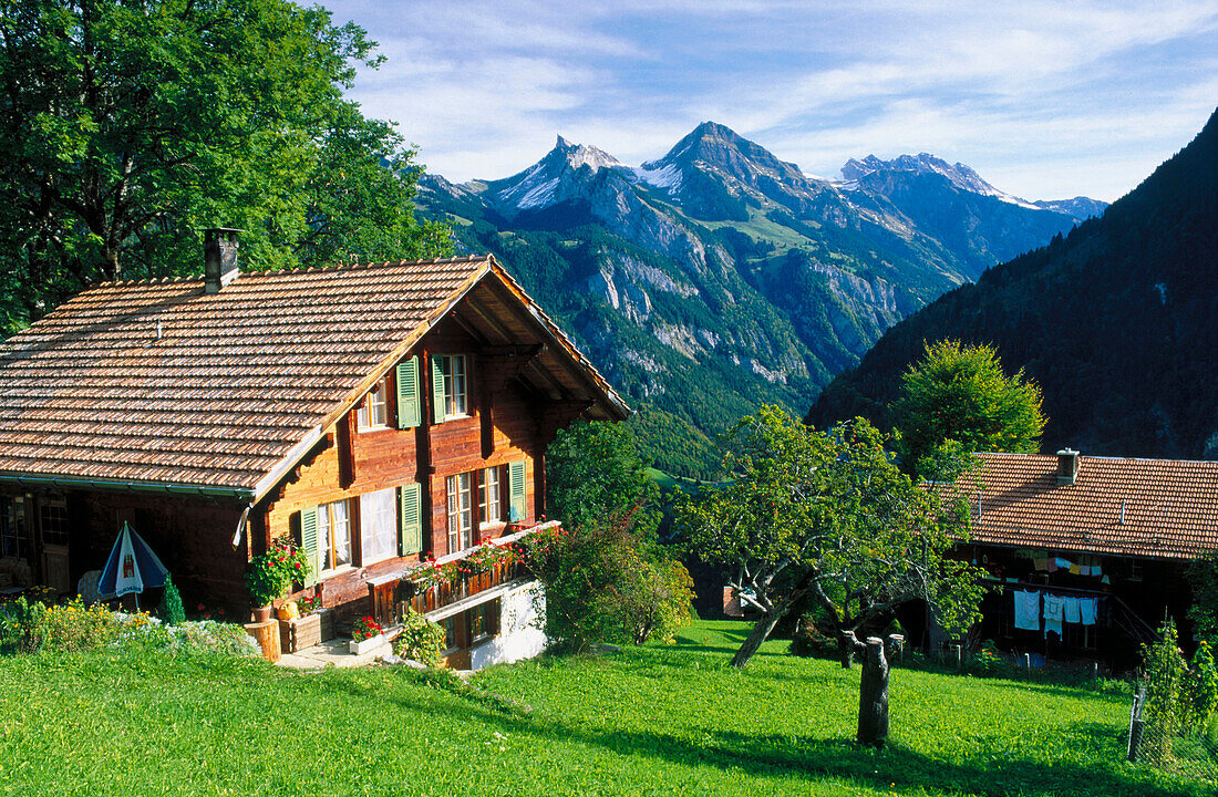 Cottage in Isenflush. Lauterbrunnental mountain at the background. Berner Oberland. Switzerland