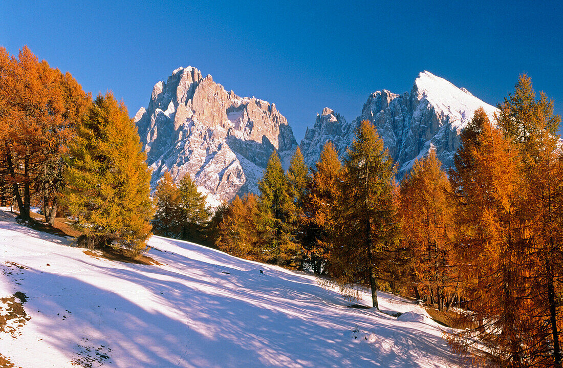 Seiser Alm (Alpe di Siusi). Langkofel mountain (Sasso Lungo). South Tirol. Dolomites. Italy.