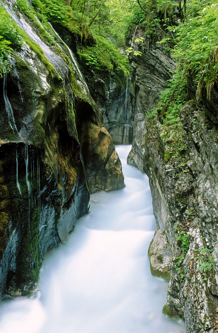 Creek near Berchtesgaden in May. Bavarian Alps, Germany